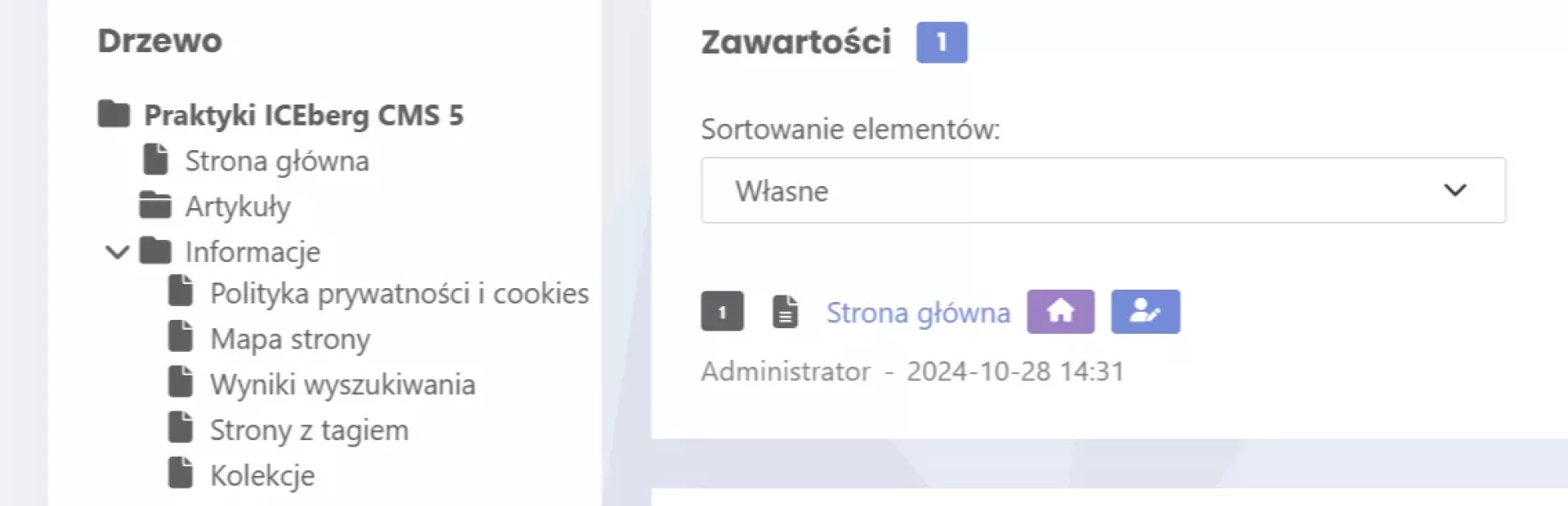 Przykład struktury do realizacji w ramach praktyk