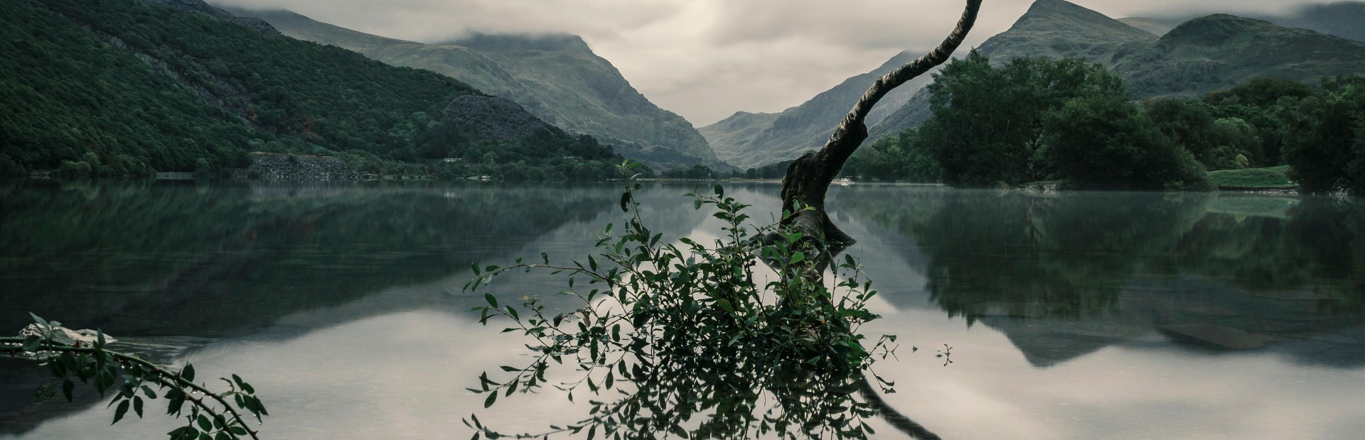 Sprawdź jakie podstrony<br />generują się automatycznie<br />i nie wymagają uzupełnienia tekstami.